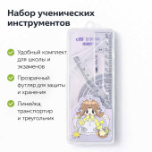 Набор ученических инструментов для школы (линейки)
