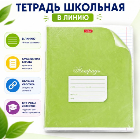 Тетрадь школьная Hatber в линейку, салатовая