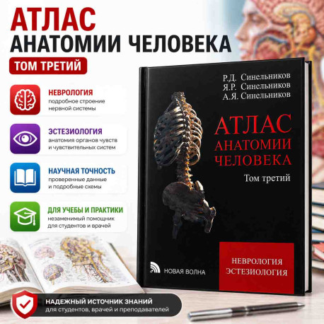 Атлас анатомии человека три тома-2